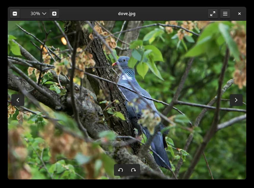 Bird Linux Desktop Gnome With Birds Wallpaper Install Eye Of GNOME On Linux | Flathub
