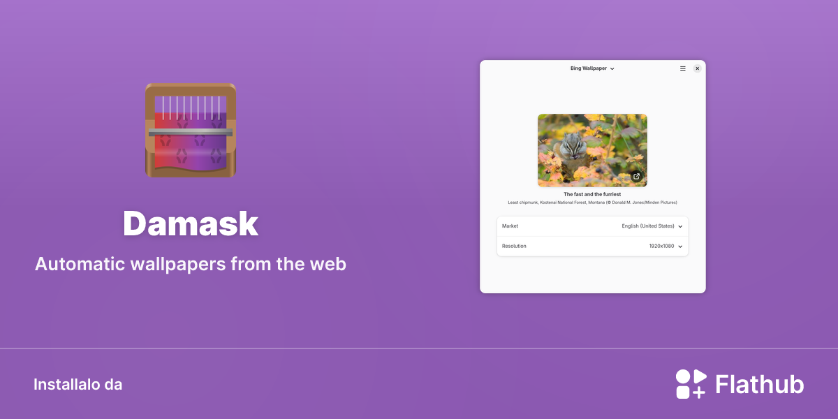 Installa Damask su Linux | Flathub