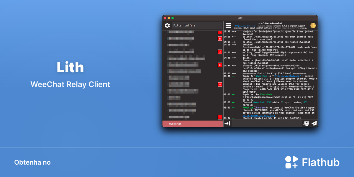 Instalar Lith no Linux | Flathub
