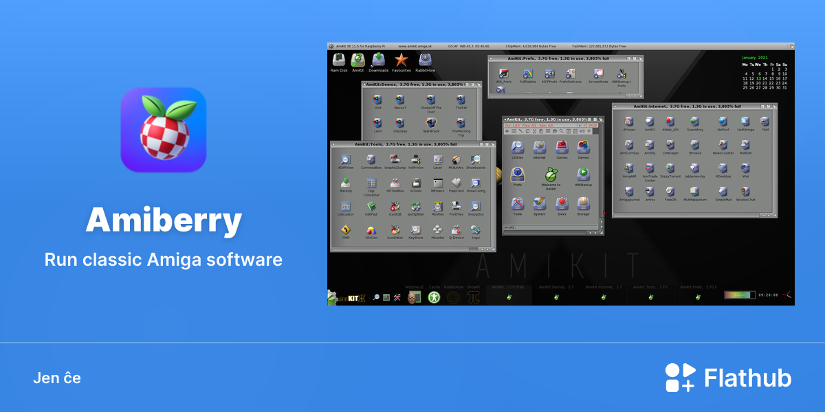 Instali Amiberry sur Linux | Flathub