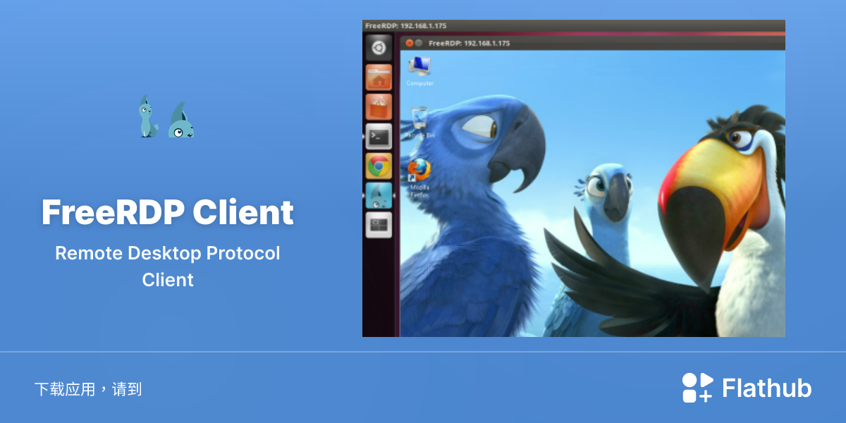 在 Linux 上安装 FreeRDP Client | Flathub