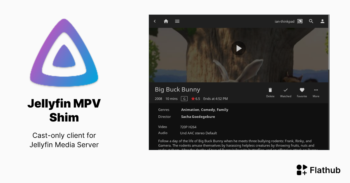 Install Jellyfin MPV Shim on Linux Flathub