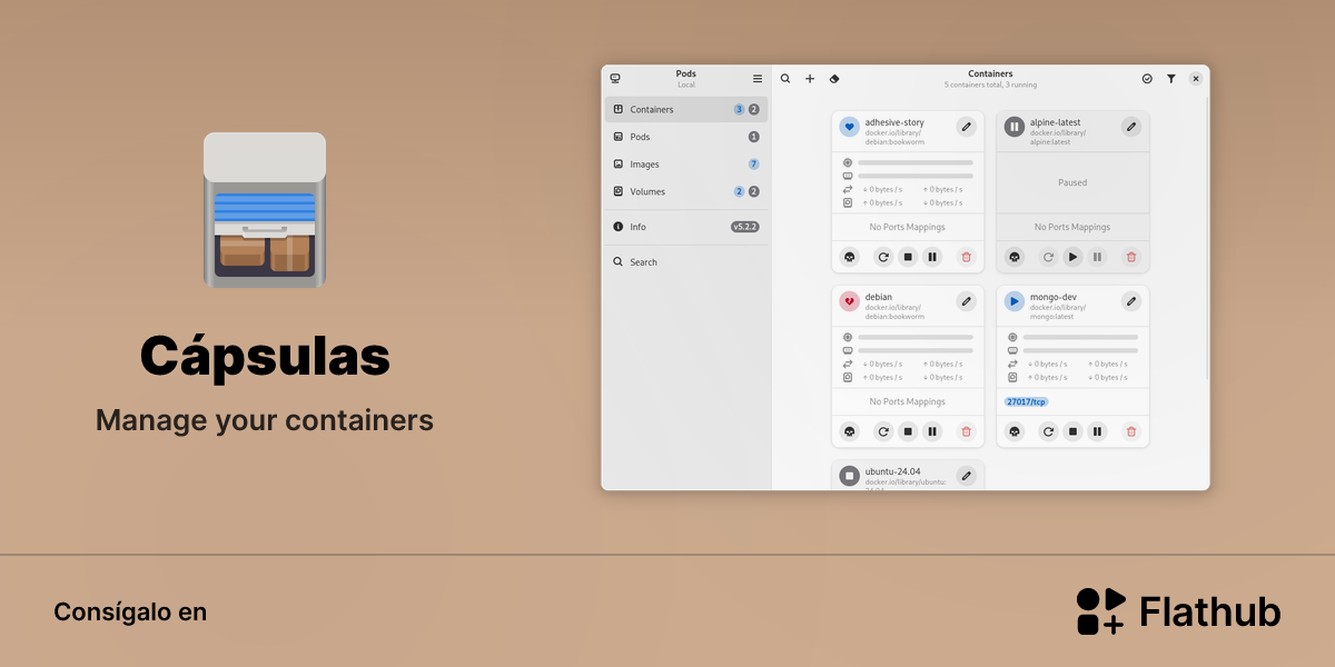 Instalar Cápsulas en Linux | Flathub