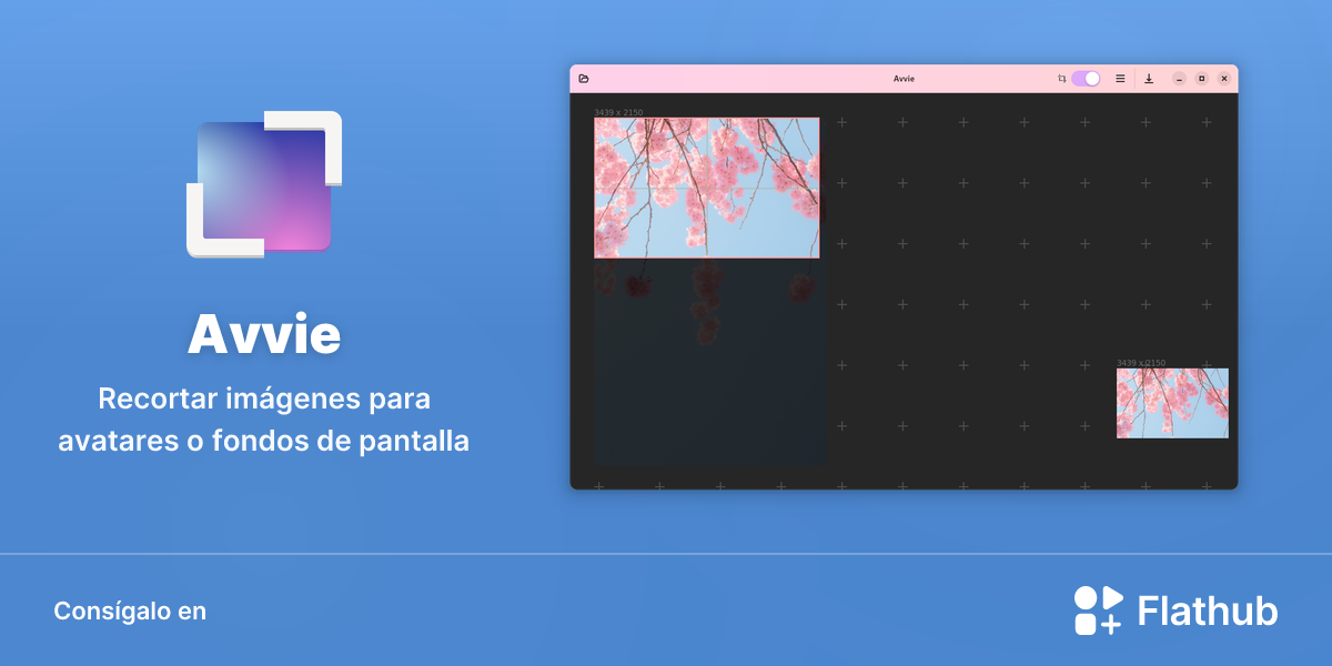 Instalar Avvie en Linux | Flathub