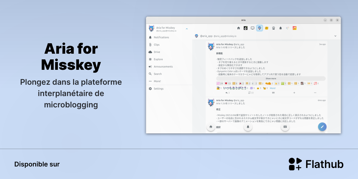 Installer Aria for Misskey sur Linux | Flathub