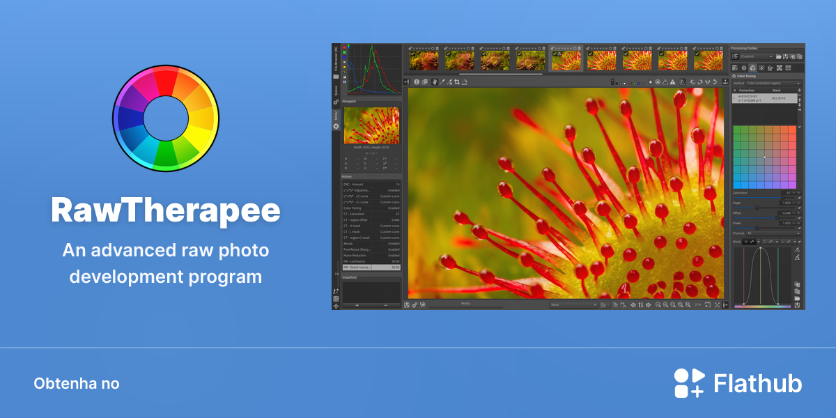 Instalar RawTherapee no Linux | Flathub