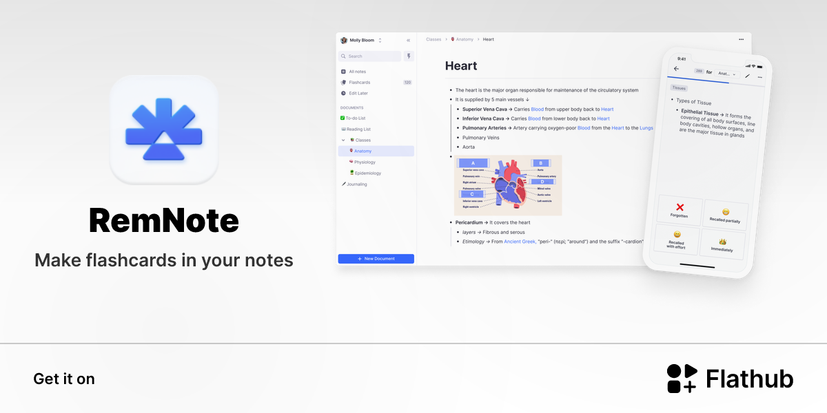 Install RemNote on Linux | Flathub