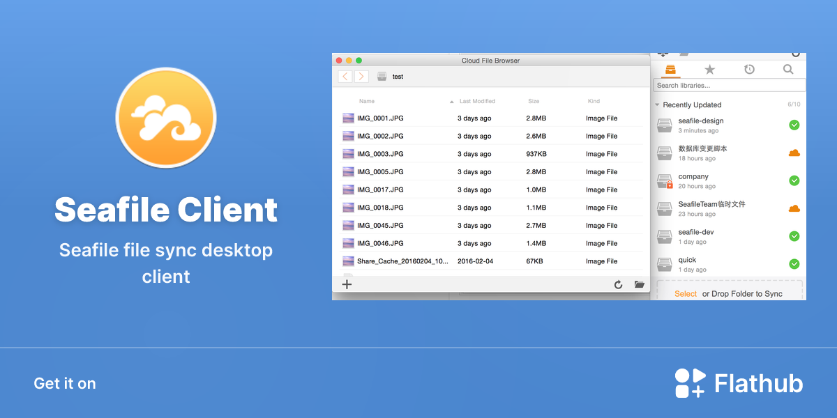 Instal·leu Seafile Client a Linux | Flathub