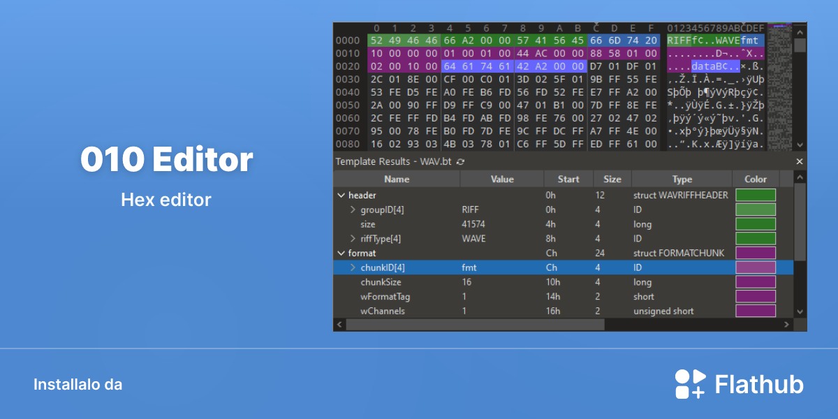 Installa 010 Editor su Linux | Flathub