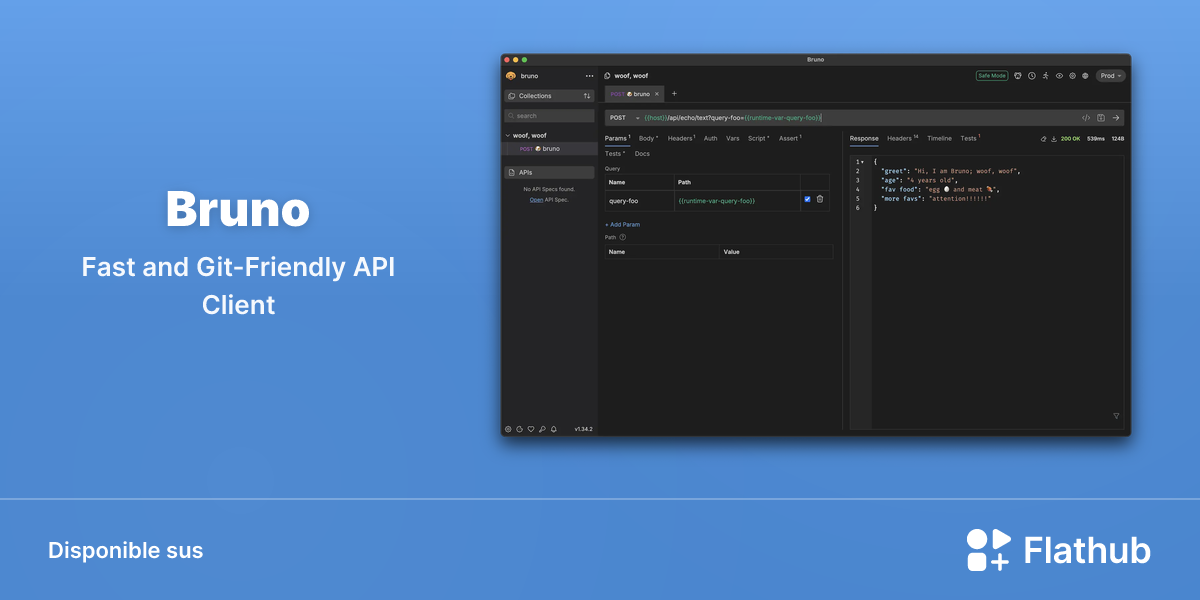 Installar Bruno sus Linux | Flathub