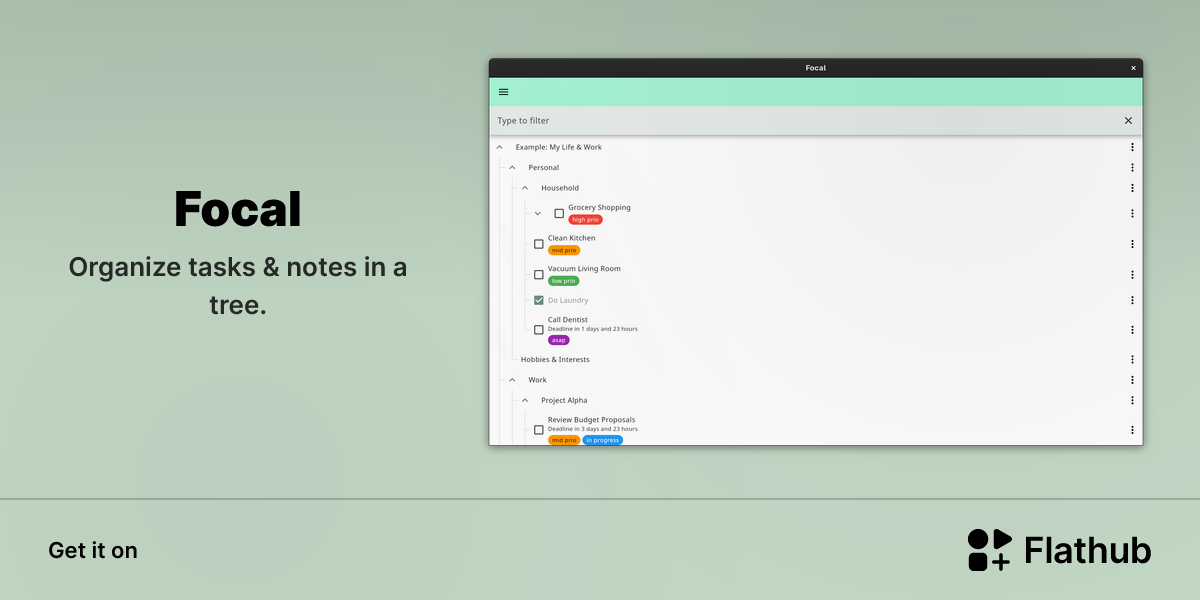 Install Focal on Linux | Flathub