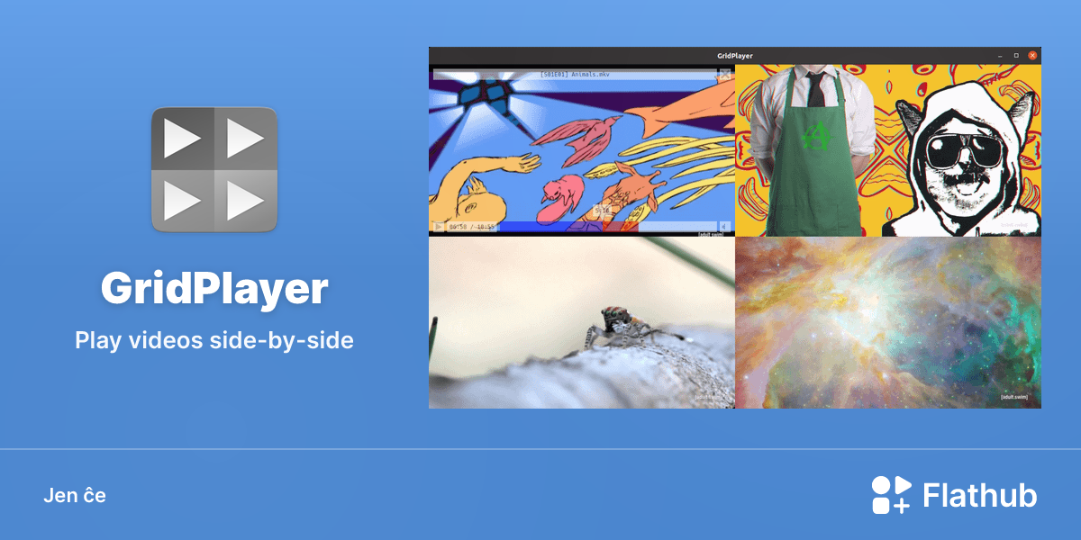 Instali GridPlayer sur Linux | Flathub