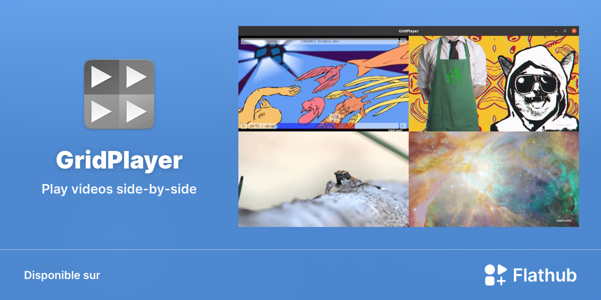 Installer GridPlayer sur Linux | Flathub