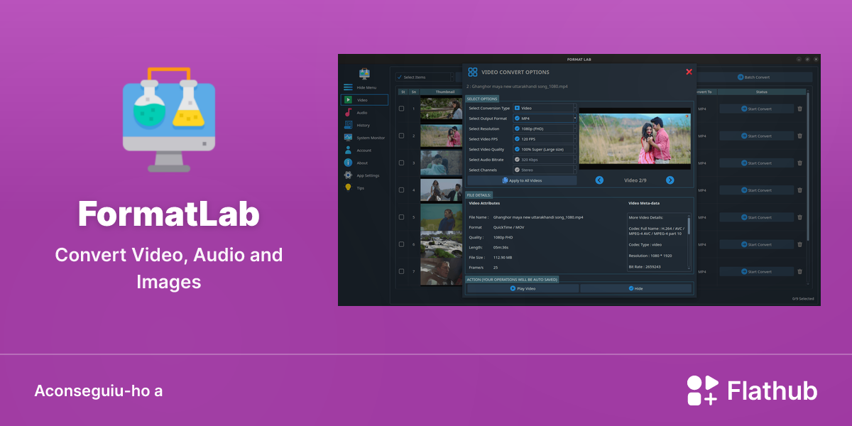 Instal·leu FormatLab a Linux | Flathub