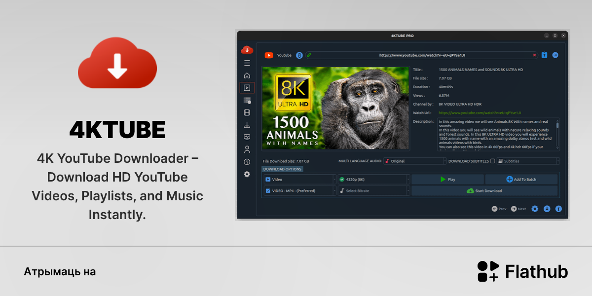 Усталяваць 4KTUBE на Linux | Flathub