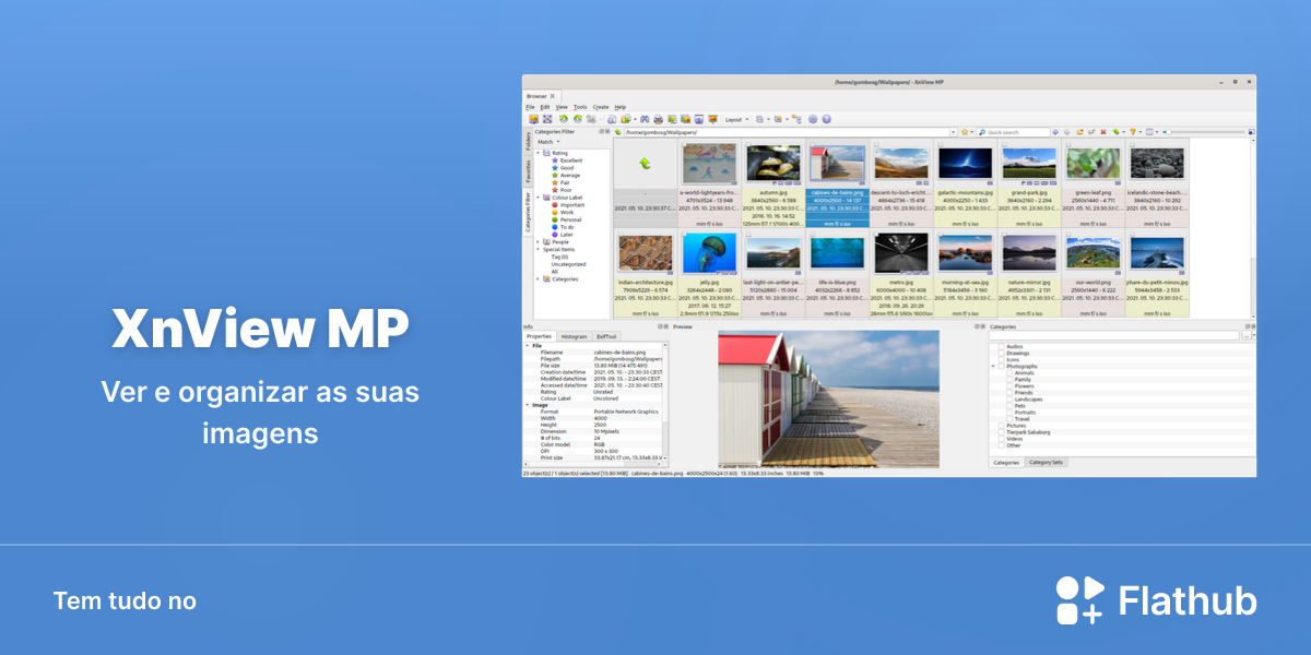 Instalar XnView MP no Linux | Flathub