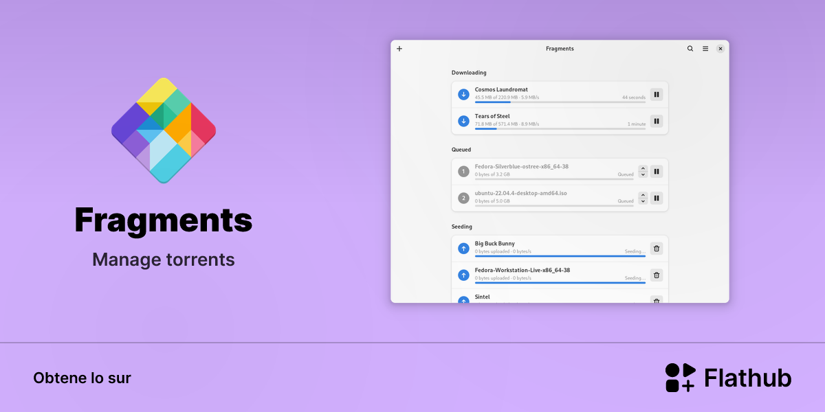 Installar Fragments sur Linux | Flathub