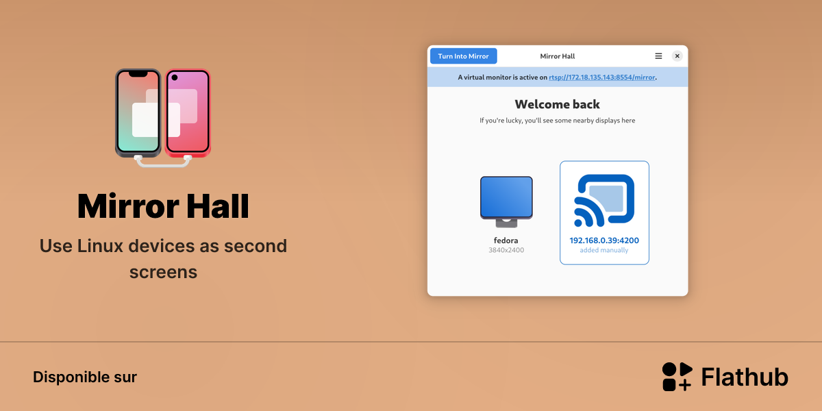 Installer Mirror Hall sur Linux | Flathub