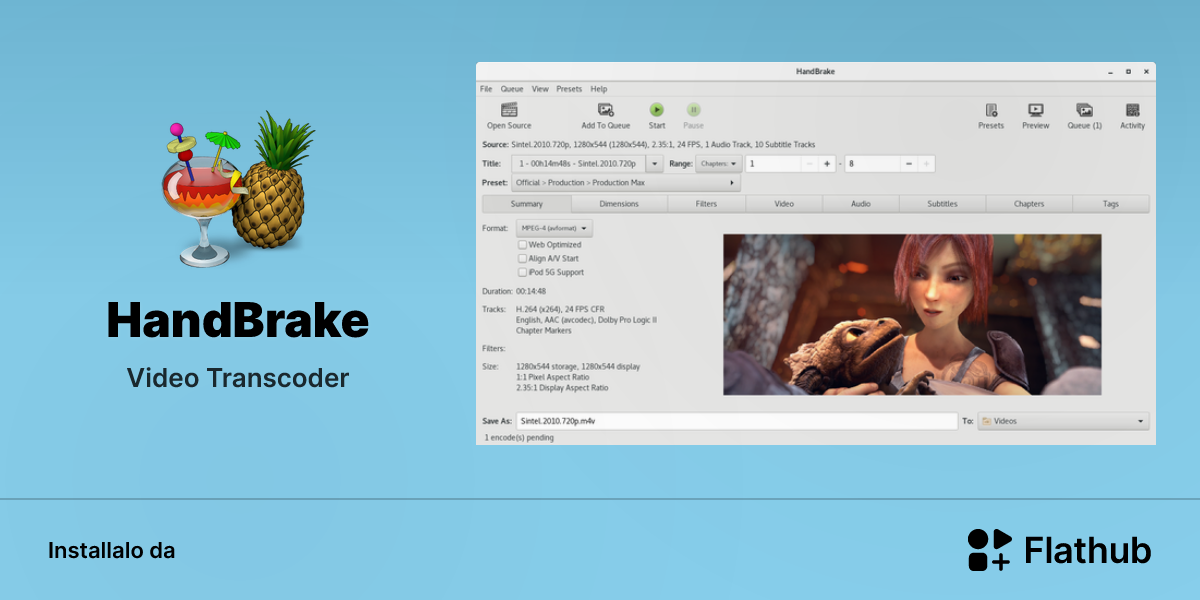 Installa HandBrake su Linux | Flathub