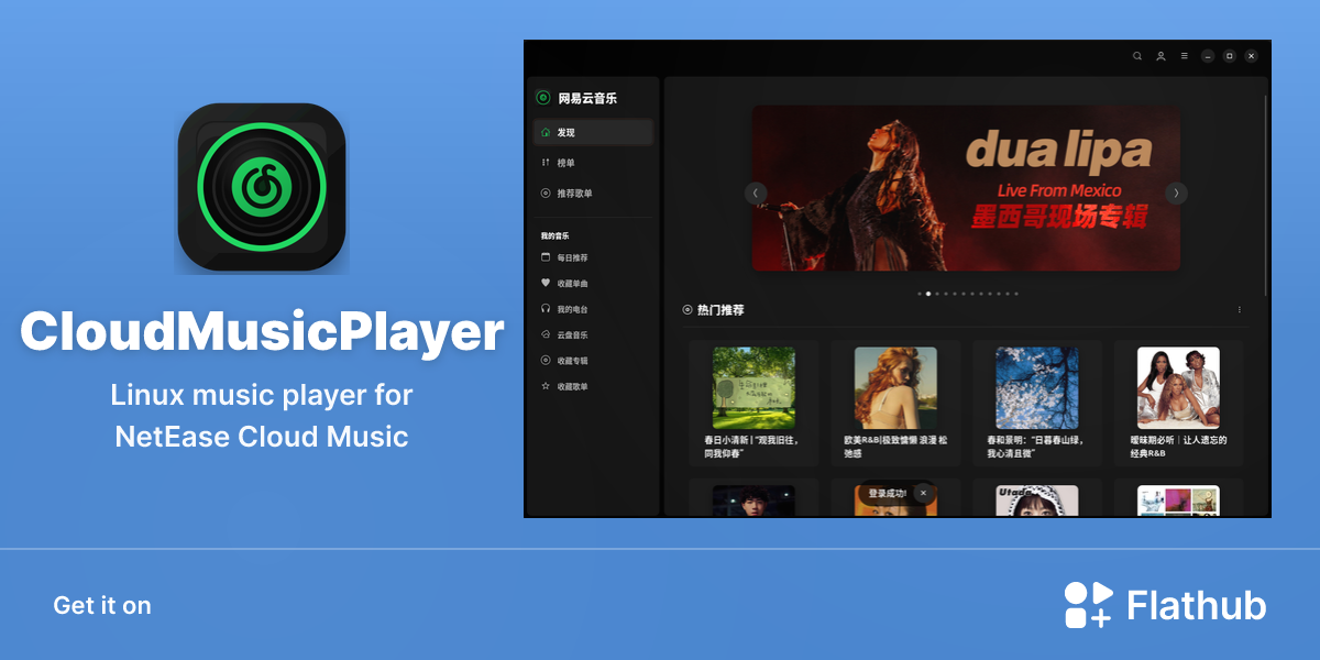 Install CloudMusicPlayer on Linux | Flathub