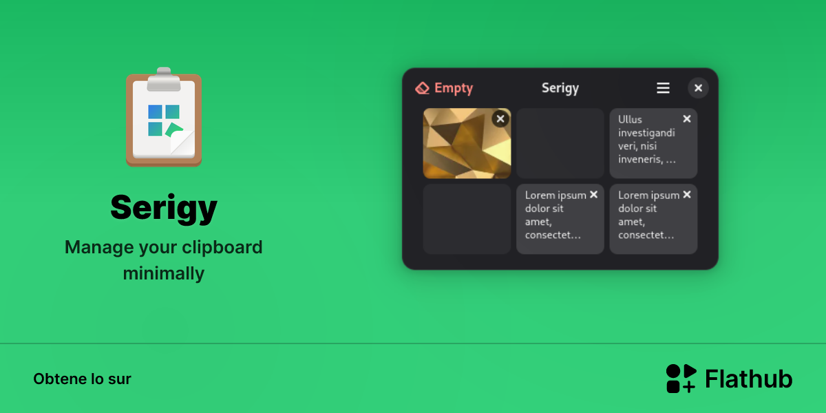 Installar Serigy sur Linux | Flathub