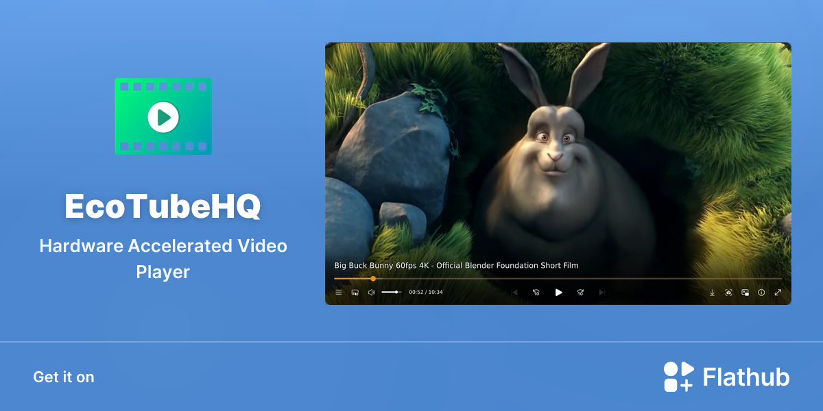 Install EcoTubeHQ on Linux | Flathub