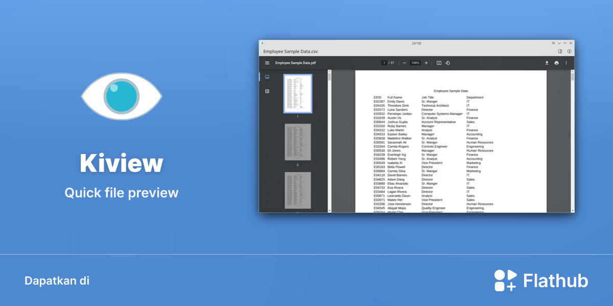 Memasang Kiview di Linux | Flathub