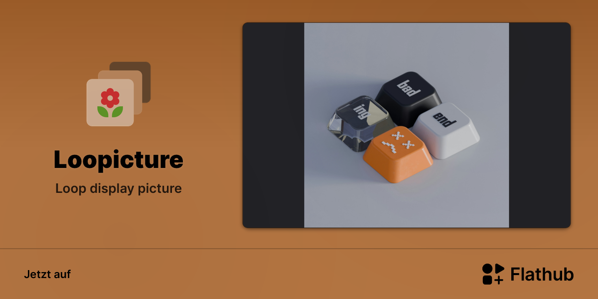 Loopicture auf Linux installieren | Flathub