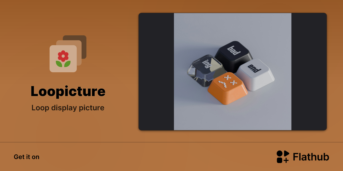 Install Loopicture on Linux | Flathub