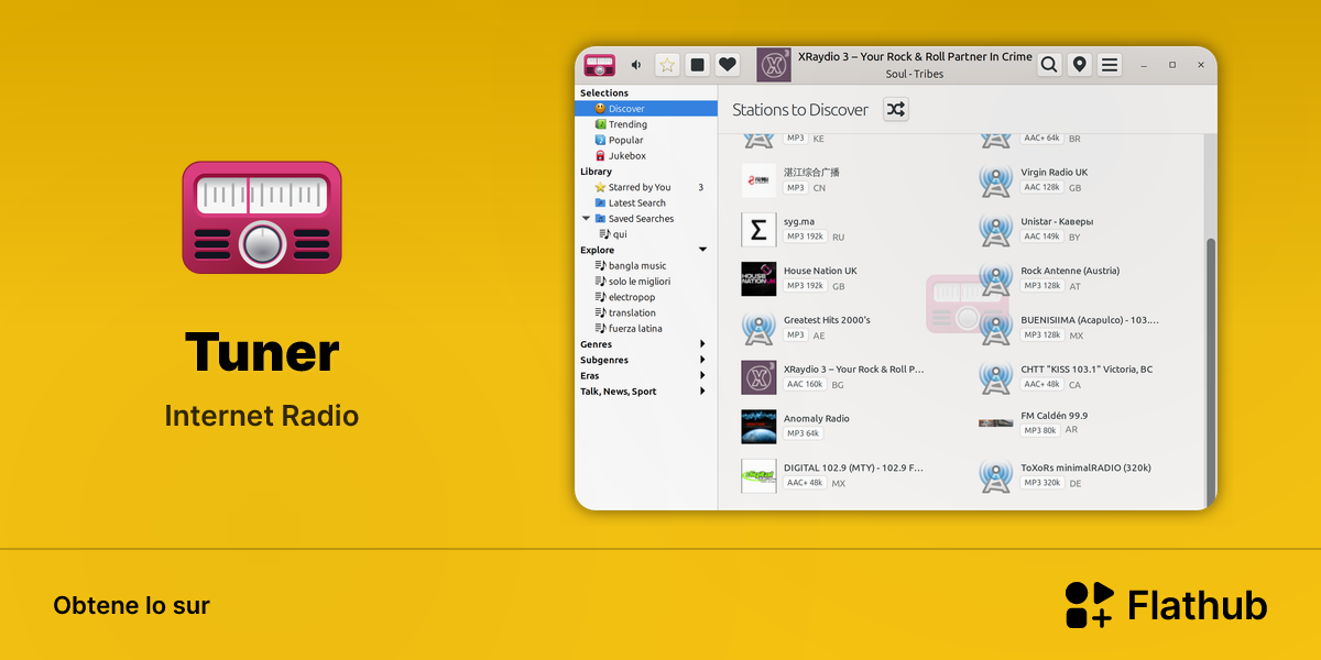 Installar Tuner sur Linux | Flathub