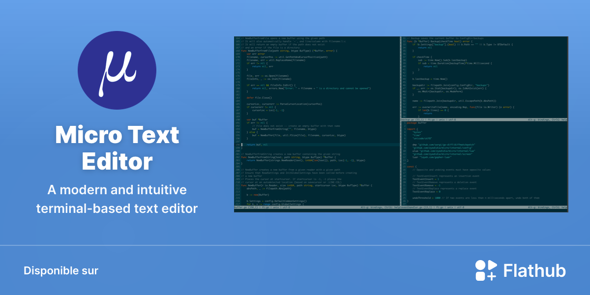 Installer Micro Text Editor sur Linux | Flathub