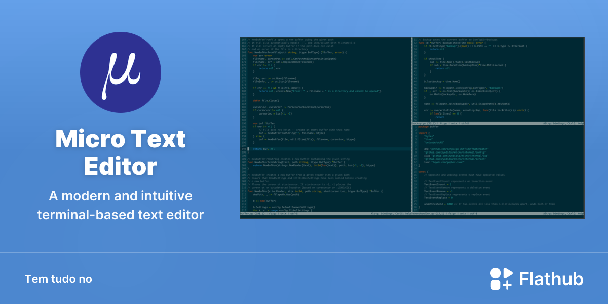 Instalar Micro Text Editor no Linux | Flathub