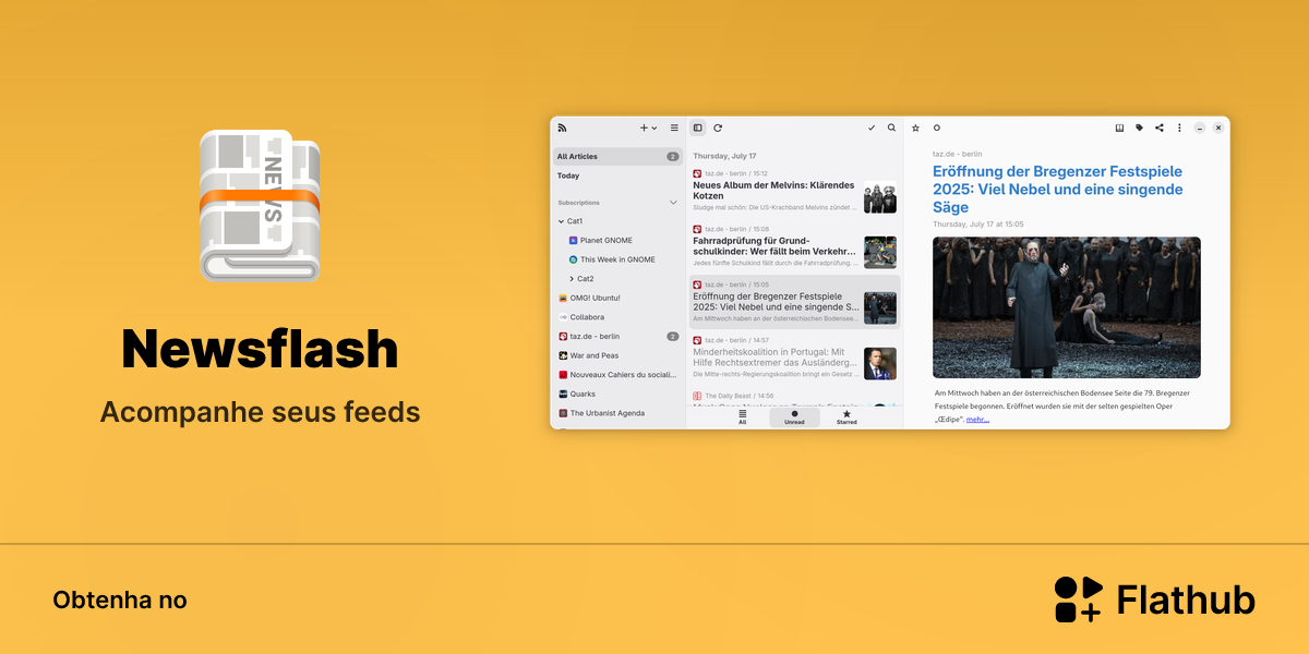 Instalar Newsflash no Linux | Flathub
