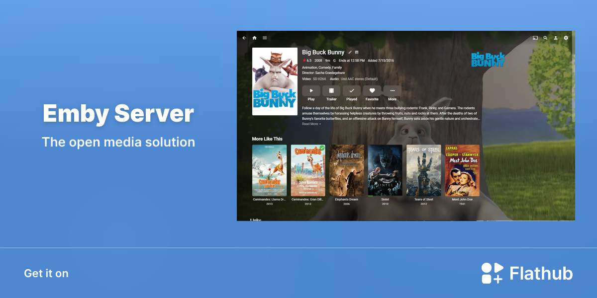Install Emby Server on Linux | Flathub
