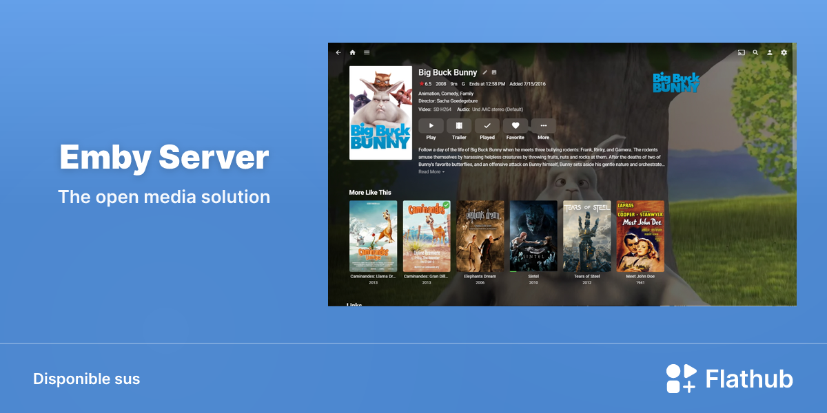 Installar Emby Server sus Linux | Flathub