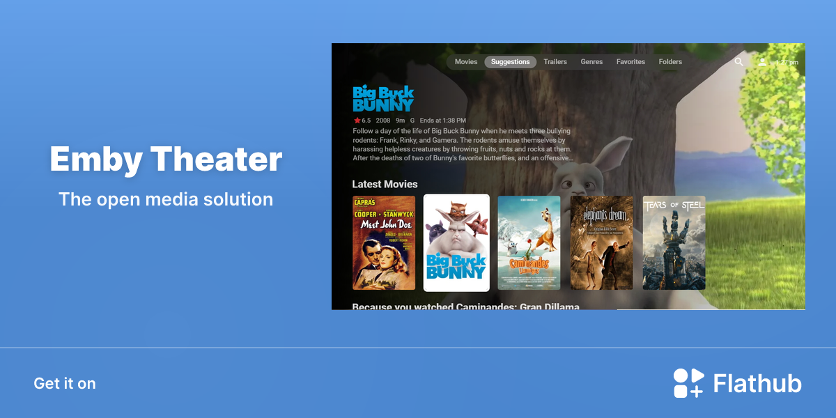 Install Emby Theater on Linux | Flathub
