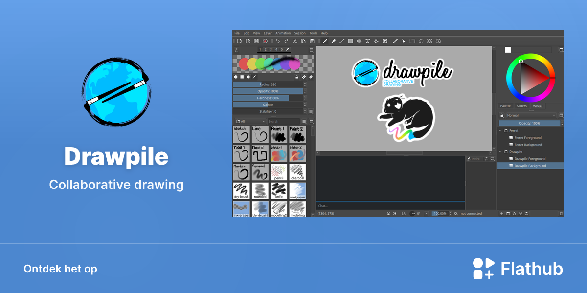 Installeer Drawpile op Linux | Flathub
