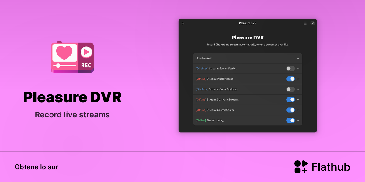 Installar Pleasure DVR sur Linux | Flathub