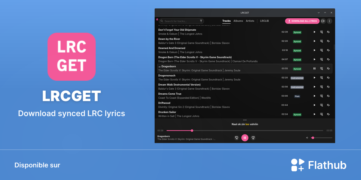 Installer LRCGET sur Linux | Flathub