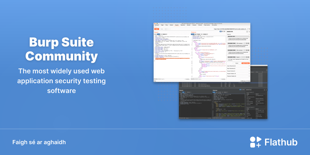 Suiteáil Burp Suite Community ar Linux | Flathub