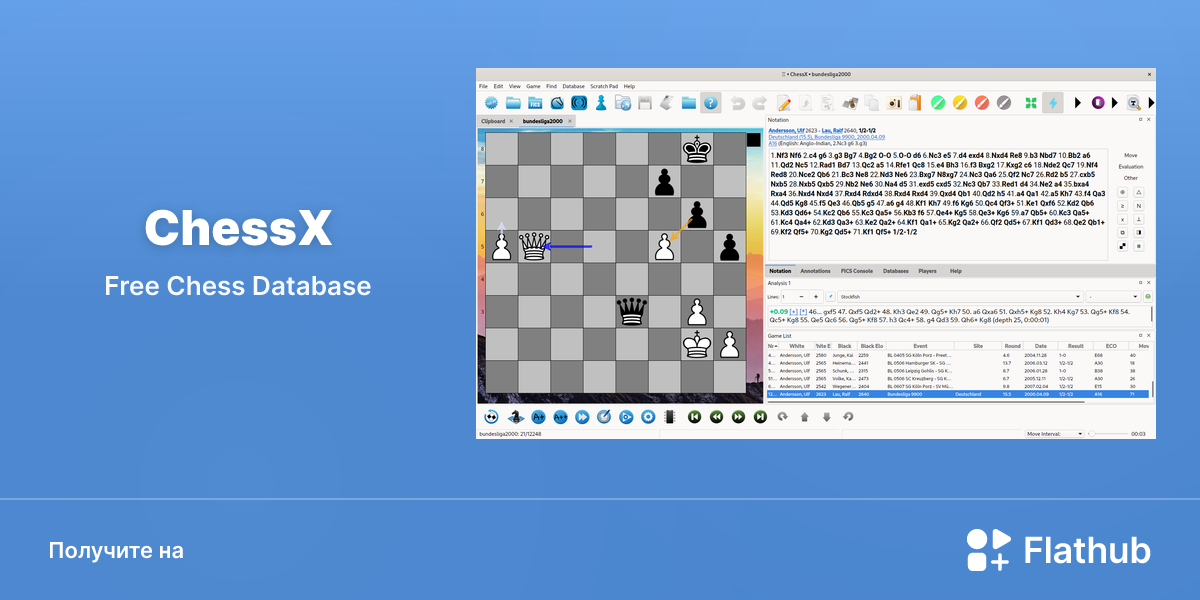Установить «ChessX» на Linux | Flathub