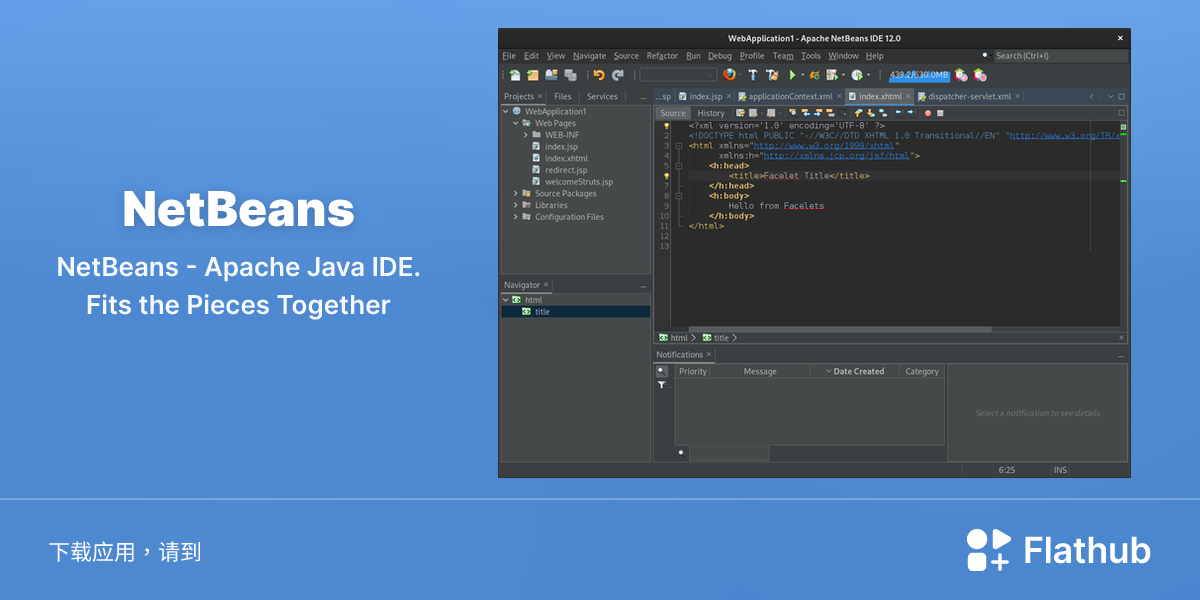 在 Linux 上安装 NetBeans | Flathub