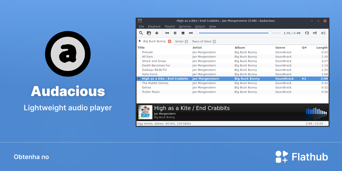 Instalar Audacious no Linux | Flathub