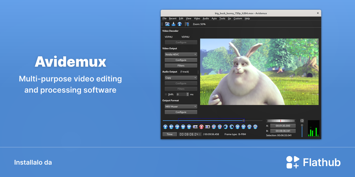 Installa Avidemux su Linux | Flathub