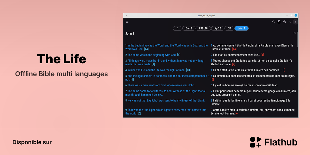 Installer The Life sur Linux | Flathub
