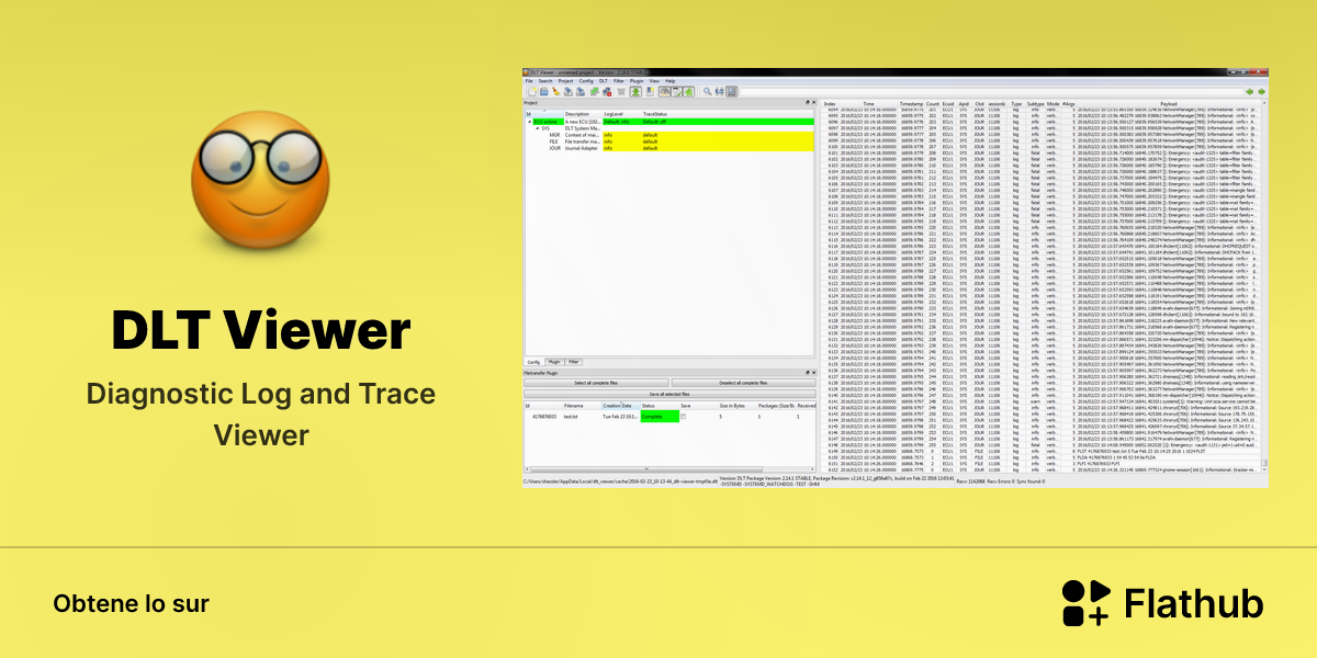 Installar DLT Viewer sur Linux | Flathub