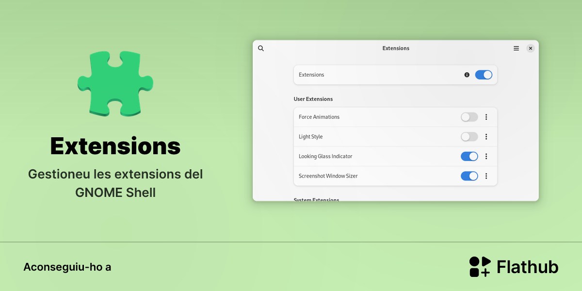 Instal·leu Extensions a Linux | Flathub