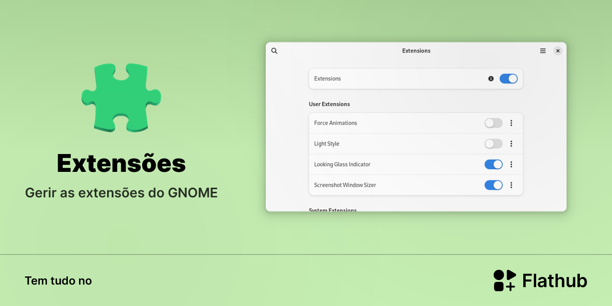 Instalar Extensões no Linux | Flathub