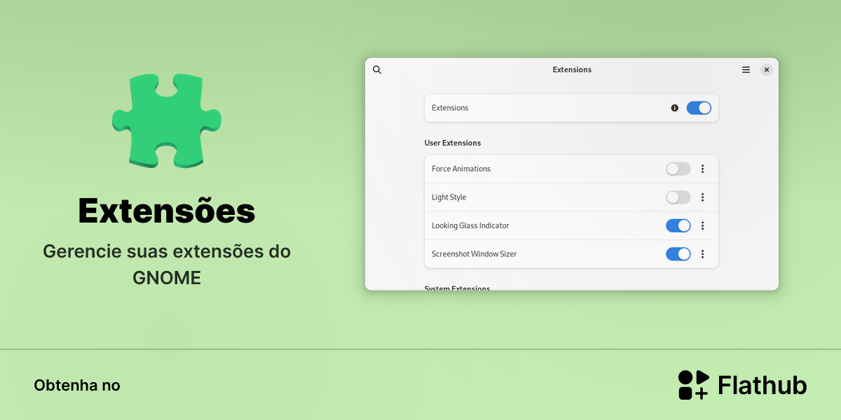Instalar Extensões no Linux | Flathub