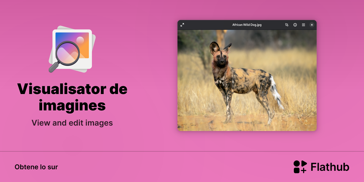 Installar Visualisator de imagines sur Linux | Flathub
